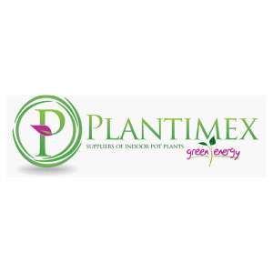 plantimex logo